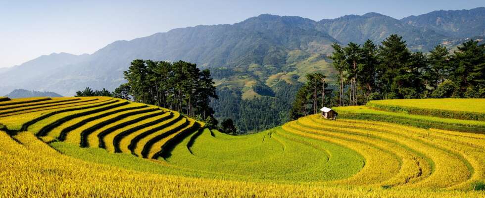 Bali Villa Locations: How to Choose Between Beach, Jungle, or Rice Field Views